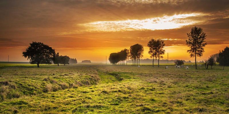 ESG整合进阶：外汇市场与金融投资中的影响力测量与实质性影响评估