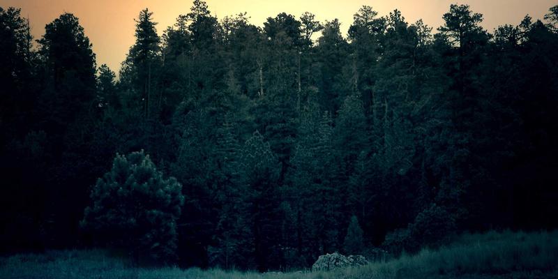 FX167交易策略：新兴市场主权债务危机预警与地缘政治风险评估投资指南