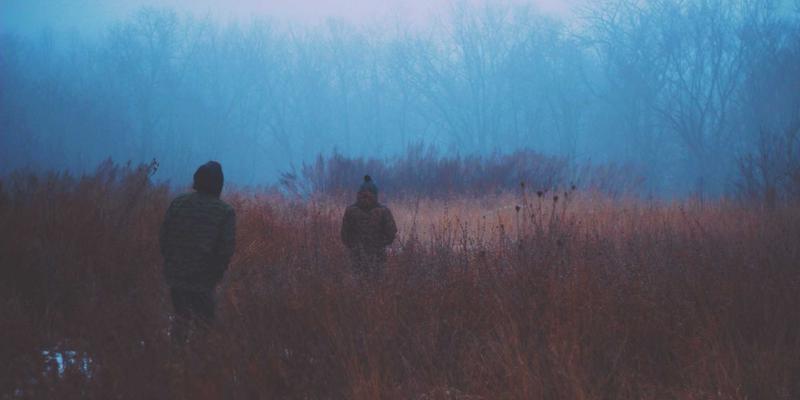 FX167视角下的外汇交易：市场分析与投资发展新趋势