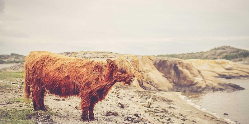 REITs投资完全指南：从零售、物流到数据中心，挖掘不动产信托的周期与成长逻辑