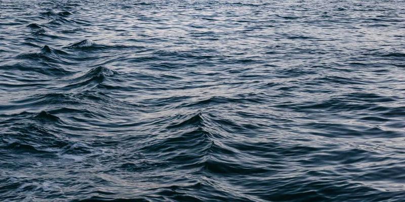 从FX167案例看金融投资：一份务实投资者的风险与机遇指南