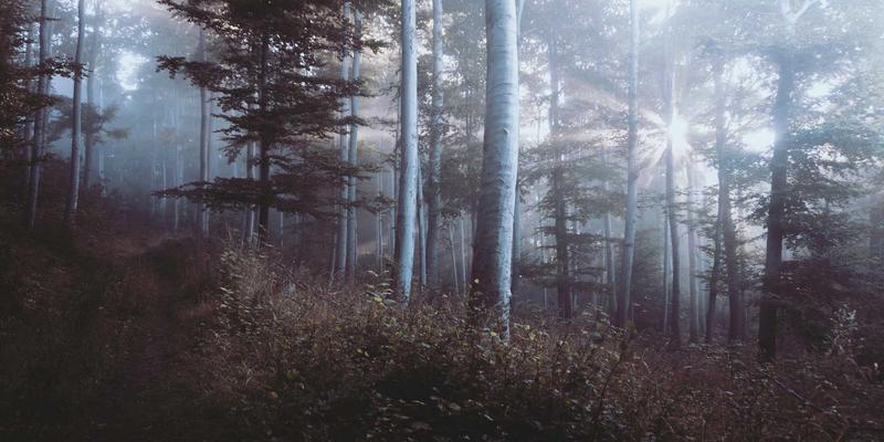 另类投资新宠：私募股权二级市场(S基金)的运作模式与投资机会