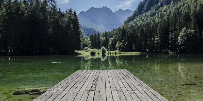 外汇市场投资指南：借助FX167平台开启您的全球资产配置之旅