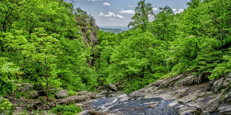 家族办公室的资产配置哲学：外汇市场分析与跨代财富传承策略