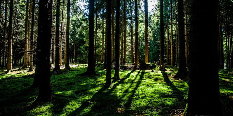 家族办公室的资产配置艺术：外汇交易与市场分析在跨代财富管理中的核心作用