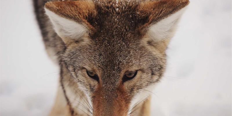 市场分析新视角：个人投资者如何通过外汇交易构建抗通胀多元化组合 | FX167策略指南