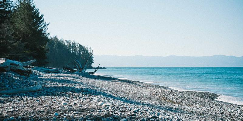 投资指南：深度解析因子投资——价值、动量、质量等核心策略的全球市场有效性检验