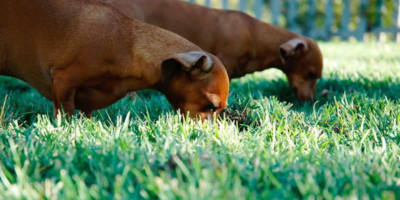 气候风险压力测试：银行信贷建模如何影响AUD、CAD等大宗商品货币走势