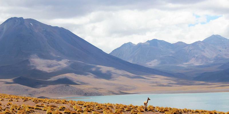 波动率交易实战指南：如何利用VIX指数及相关衍生品进行市场风险对冲 | FX167金融投资