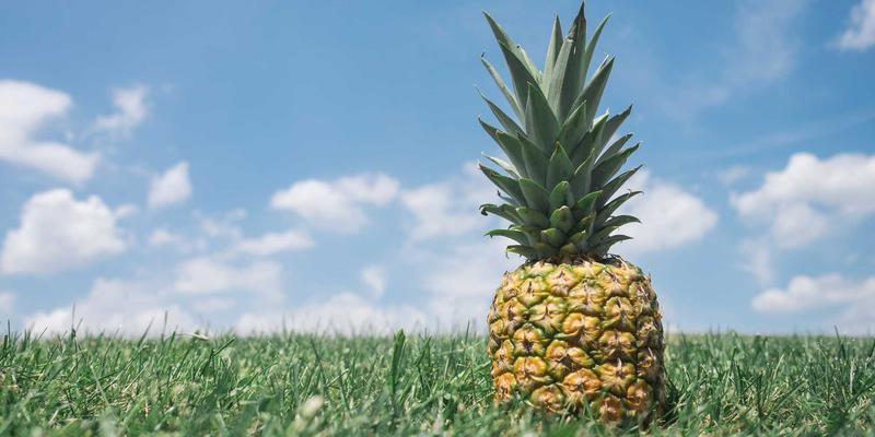 私募信贷市场深度解析：直接贷款、困境债务与资产支持贷款的投资机遇与风险全景