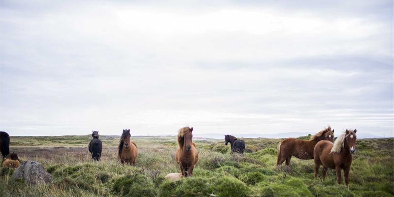 金融投资21：外汇交易入门与实战指南 | FX167专业解析