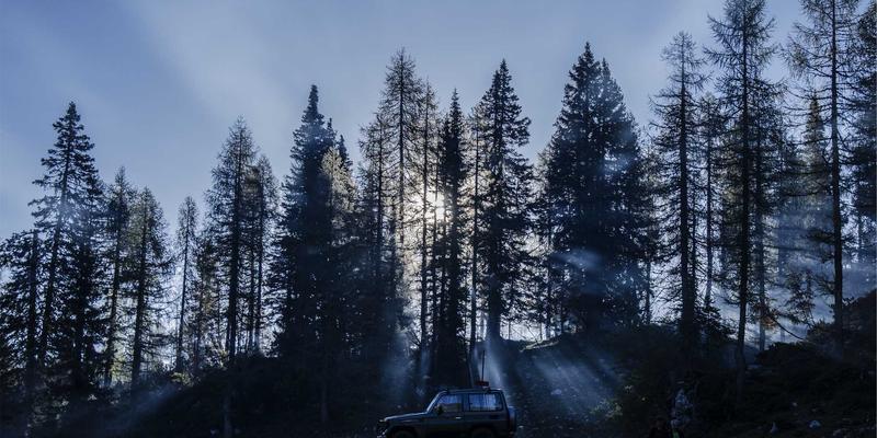 金融投资是什么？从入门到精通的实战指南