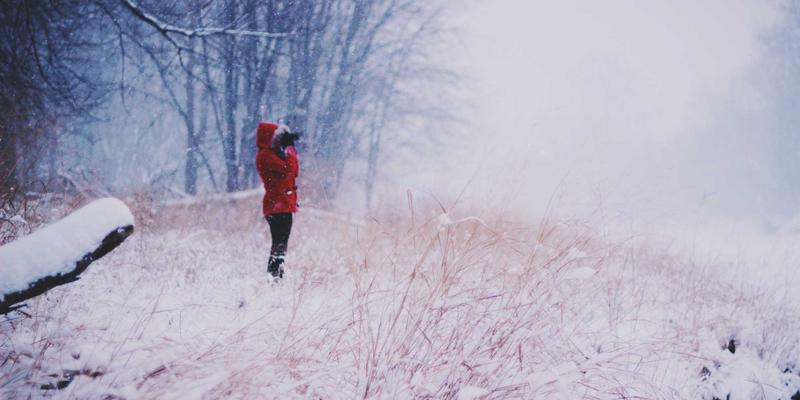 金融投资进阶指南：掌握市场分析与FX167策略，构建稳健投资组合
