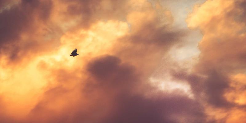 金融投资进阶指南：掌握市场分析与交易策略在外汇市场的实战应用