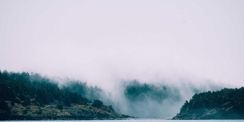 金融投资进阶指南：揭秘FX167平台与三大核心交易策略