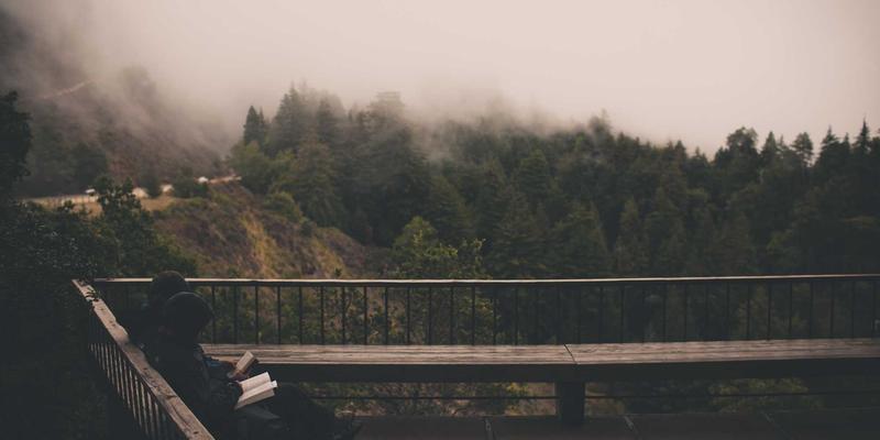 金融投资进阶：构建有效交易策略在外汇市场的实战应用