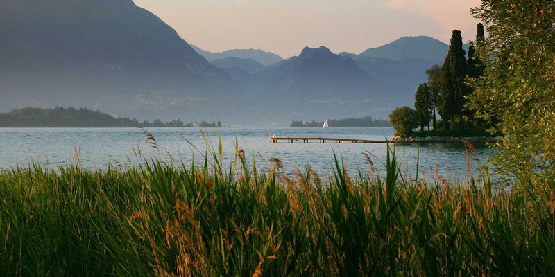 金融投资进阶：构建稳健外汇交易策略的三大核心