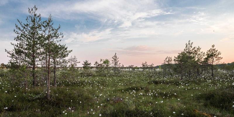 金融科技（FinTech）如何重塑资产管理？一份来自FX167的投资指南