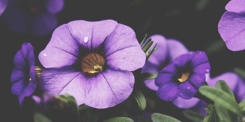 金融科技重塑个人投资：从智能投顾到区块链的全面市场分析与实战指南